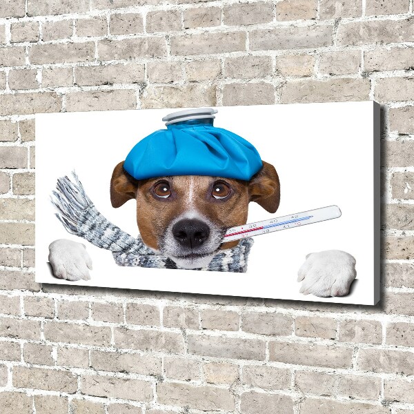 Bild auf leinwand Kranker Hund