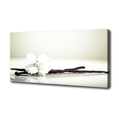 Wandbild Vanilleschote