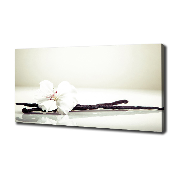 Wandbild Vanilleschote