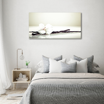 Wandbild Vanilleschote