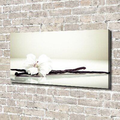 Wandbild Vanilleschote