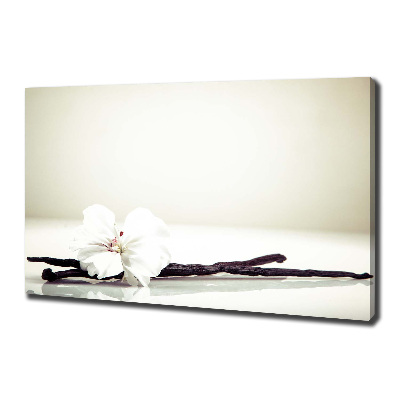 Wandbild Vanilleschote