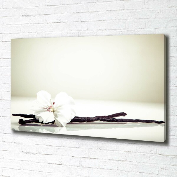 Wandbild Vanilleschote