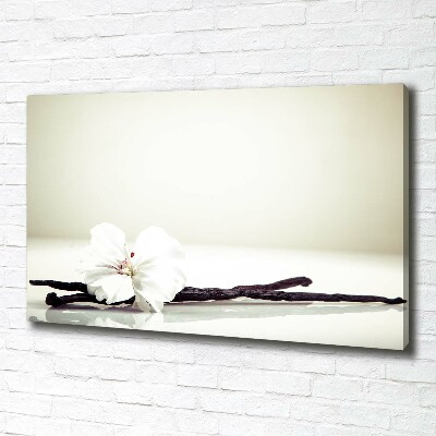 Wandbild Vanilleschote