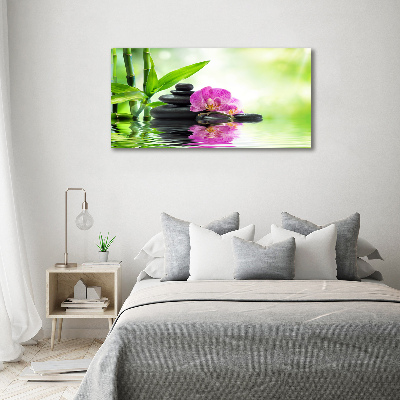 Fotobild Orchidee