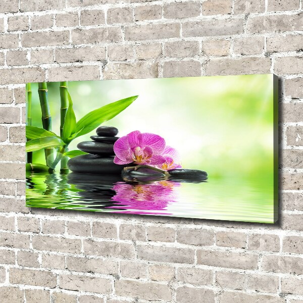 Fotobild Orchidee