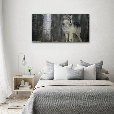 Bild auf leinwand Grauer Wolf