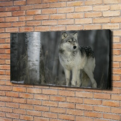 Bild auf leinwand Grauer Wolf