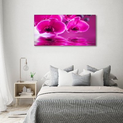 Bild auf leinwand Orchidee