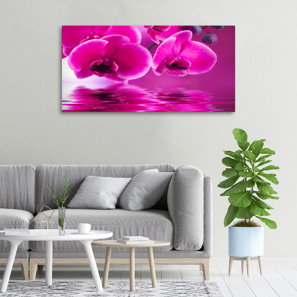 Bild auf leinwand Orchidee