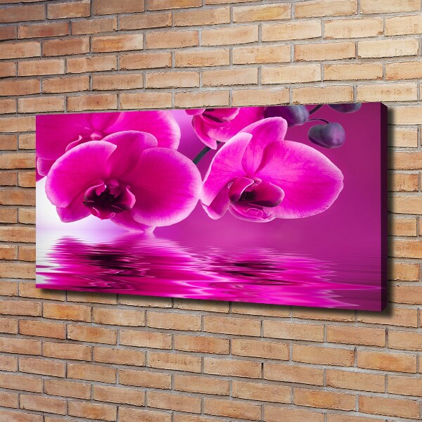 Bild auf leinwand Orchidee