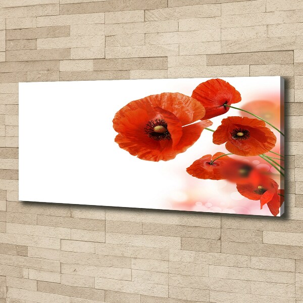 Bild auf leinwand Mohnblumen