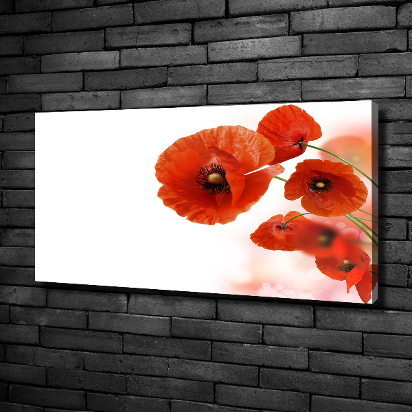 Bild auf leinwand Mohnblumen