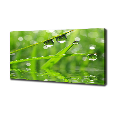 Wandbild Tropfen auf dem Gras