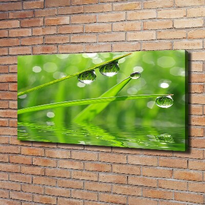 Wandbild Tropfen auf dem Gras