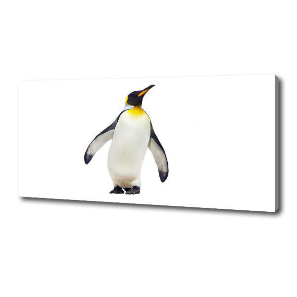 Bild auf leinwand Pinguin