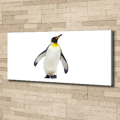 Bild auf leinwand Pinguin