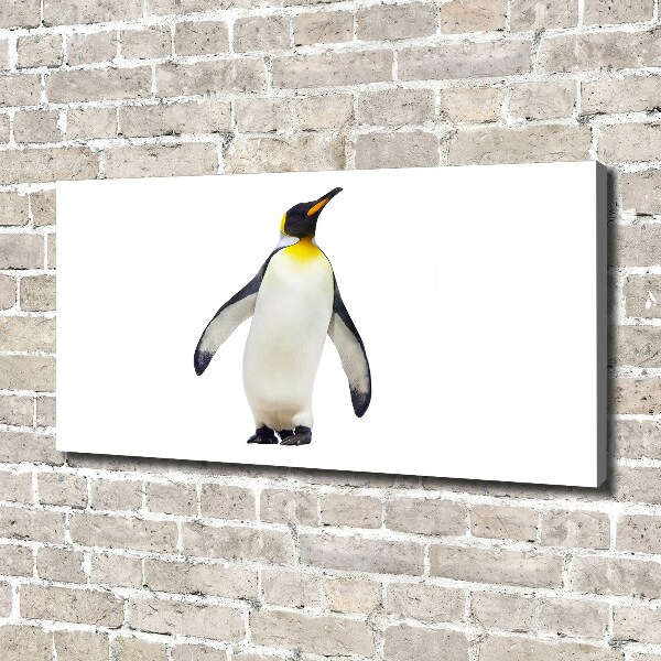 Bild auf leinwand Pinguin