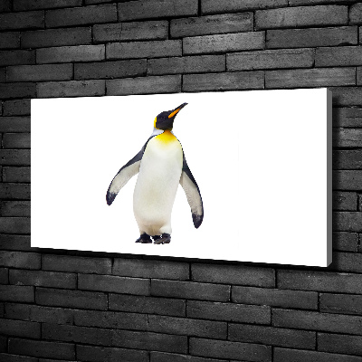 Bild auf leinwand Pinguin