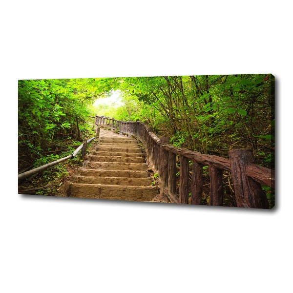 Wandbild Treppe im Wald
