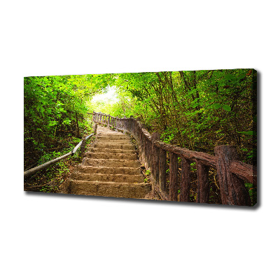 Wandbild Treppe im Wald