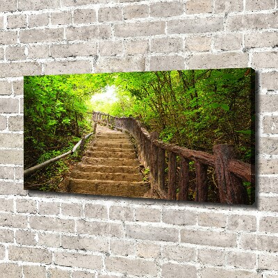 Wandbild Treppe im Wald
