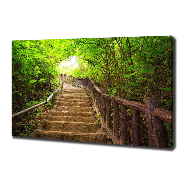 Wandbild Treppe im Wald