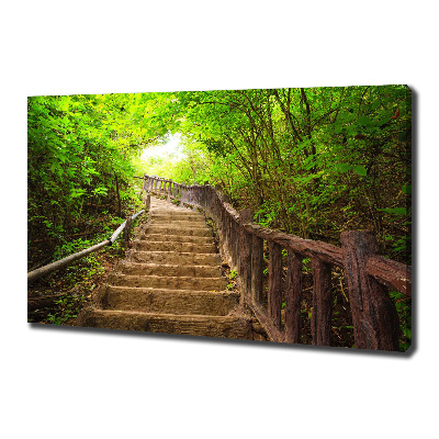 Wandbild Treppe im Wald