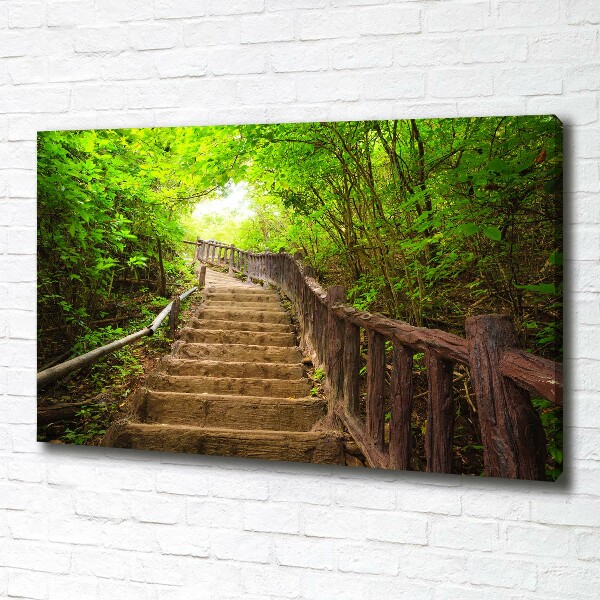 Wandbild Treppe im Wald