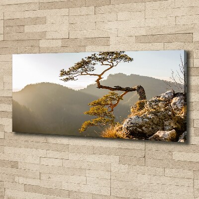 Bild auf leinwand Sokolica Pieniny