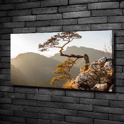 Bild auf leinwand Sokolica Pieniny