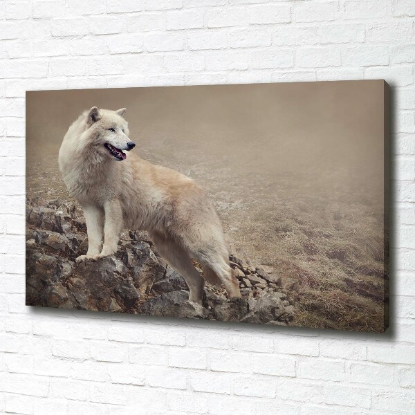 Fotobild Weißer Wolf auf einem Felsen