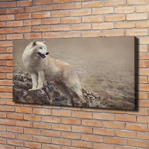 Fotobild Weißer Wolf auf einem Felsen