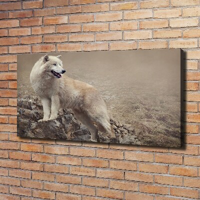 Fotobild Weißer Wolf auf einem Felsen
