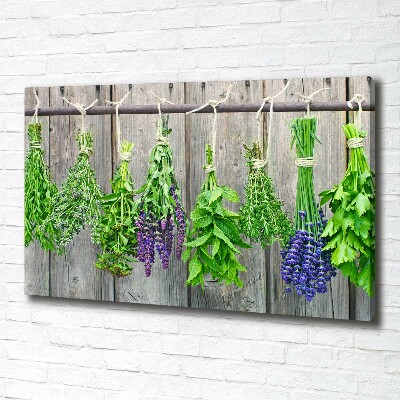 Fotobild Kräuter an einer Schnur