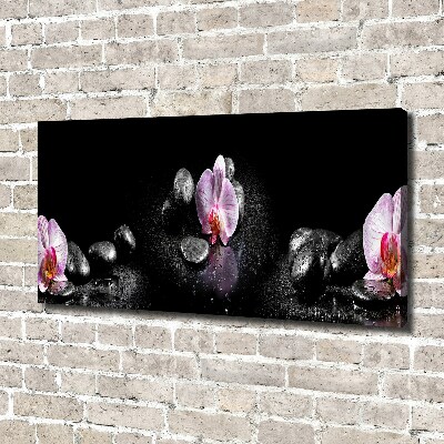 Wandbild Orchidee