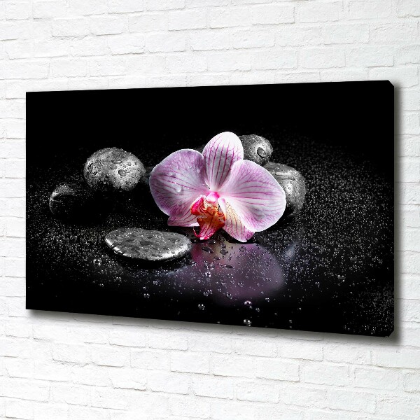 Wandbild Orchidee