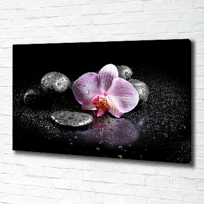 Wandbild Orchidee