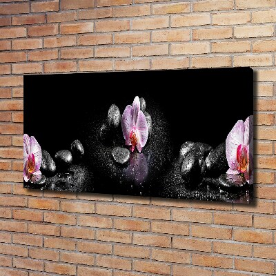 Wandbild Orchidee