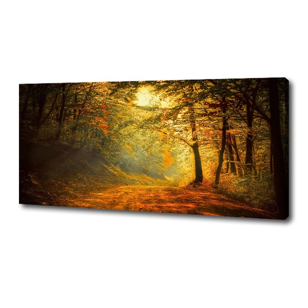 Wandbild Wald im Herbst