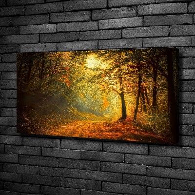 Wandbild Wald im Herbst