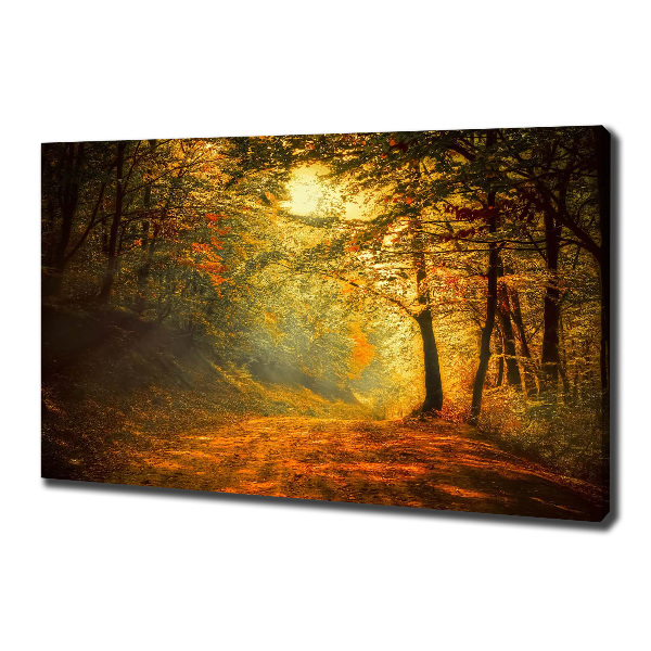 Wandbild Wald im Herbst
