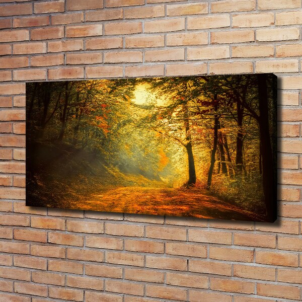 Wandbild Wald im Herbst