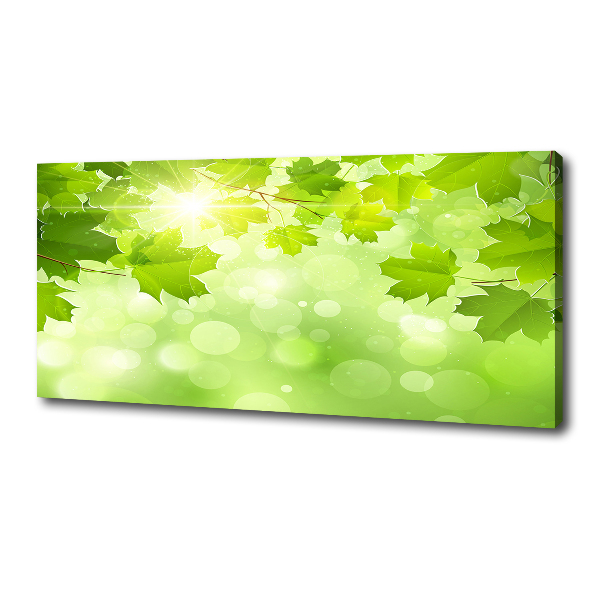 Bild auf leinwand Rosskastanienblätter