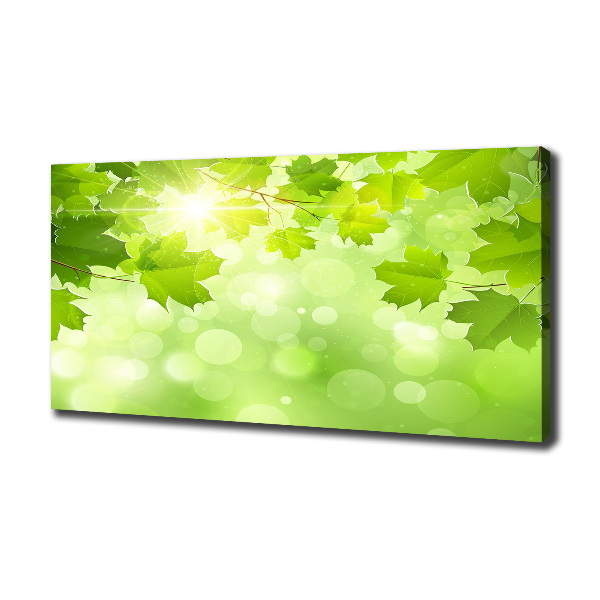 Bild auf leinwand Rosskastanienblätter