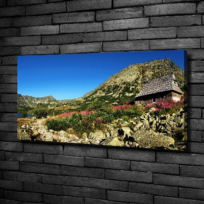 Fotobild Schäferhütte im Tal