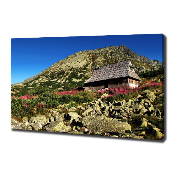 Fotobild Schäferhütte im Tal