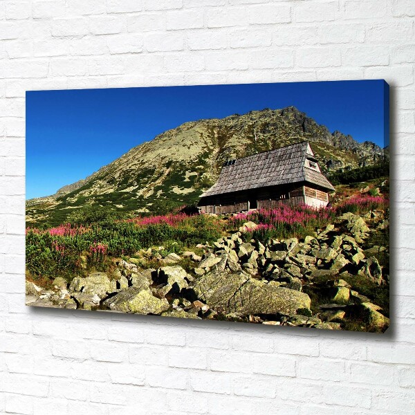 Fotobild Schäferhütte im Tal