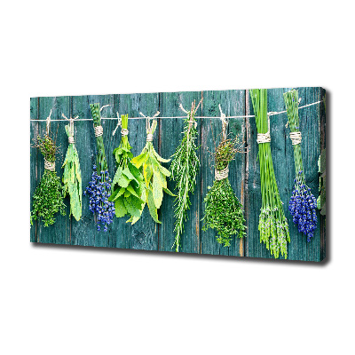 Fotobild Kräuter an einer Schnur