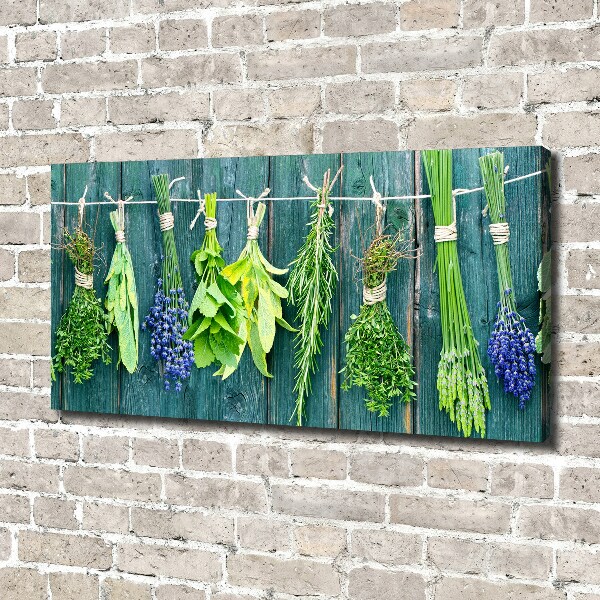 Fotobild Kräuter an einer Schnur